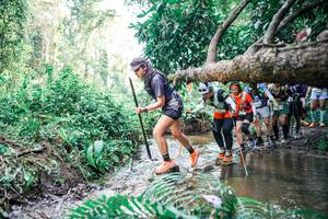 BIB: 
                            <button type="button" onclick="openModal(25477176)" class="btn btn-primary btn-sm float-right btn-popup" data-toggle="modal" data-target=".modal-high-quality">
                        <i class="fas fa-shopping-cart"></i> Add to Cart
                    </button>
                                            <button type="button" onclick="isThisMe(25477176, true)" class="btn btn-success btn-sm float-right btn-popup btn-isme hidden" data-toggle="tooltip" data-placement="bottom" title="นี่คือรูปของคุณใช่ไหม คลิกที่นี่เพื่อเอาเข้าอัลบั้ม">
                        <i class="fas fa-plus"></i> Add to album
                    </button>
                    <button type="button" onclick="isThisMe(25477176, false)" class="btn btn-warning btn-sm float-right btn-popup btn-isnotme hidden">
                        <i class="fas fa-ban"></i> Remove from album
                    </button>